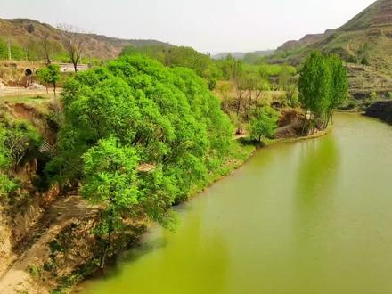 在陕西澄城的大山深处竟然隐藏着一处世外桃源!不仅风景优美且历史厚重!#航拍最美家乡 #记录家乡美景 #历史文化 #龙小旅 #风景如画的地方