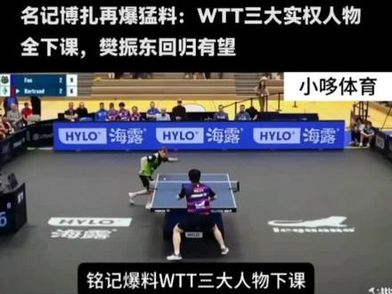樊振东回归有望。