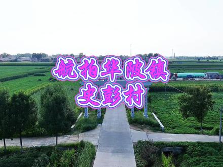 航拍华陂镇史彭村#航拍最美家乡 #老家河南 #美丽乡村