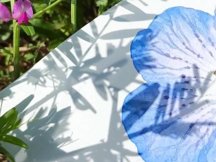春天好好画|来一朵蓝色喜林草💙 #水彩 #水彩教程 #跟着抖音学画画