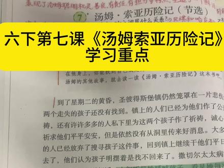 六下第七课《汤姆索亚历险记》学习重点。