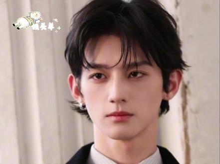 赖伟明和庄旭我还是分得清的。#赖伟明 #hi6 #帅哥 #大大方方