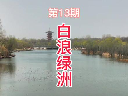 潍坊免费游之白浪绿洲湿地公园#游玩攻略 #周边游