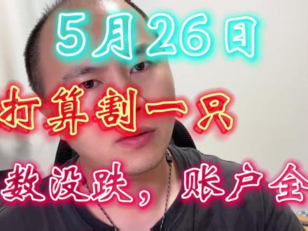 又打算割了,指数没跌,持仓全绿,涨了个锤子! #股票 #财经