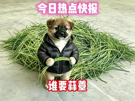 5月15日今日社会热点信息差快报 #热点 #热点新闻事件 #今日热点