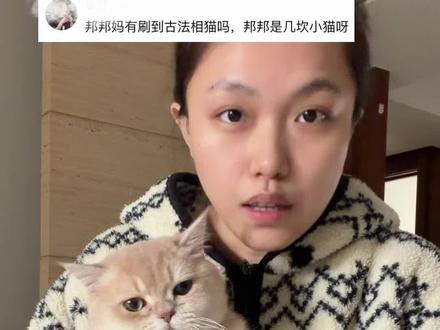 小猫:麻麻,别掰了别掰了 #古法相猫 #毛孩子日常记录 #毛孩子 #金渐层