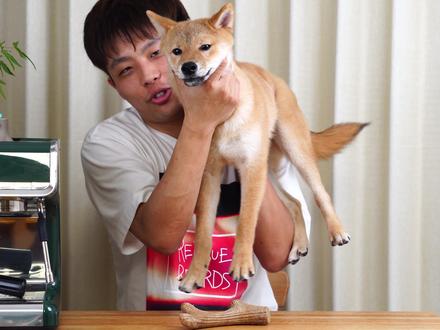 网友提问时间 意式咖啡都是深烘焙么?@抖音小助手 #咖啡