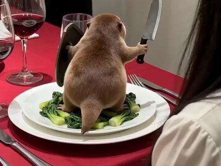 这道菜在骚扰我女朋友 #我的刀盾 #刀盾狗 #万物可爱计划 #AI创作浪潮计划