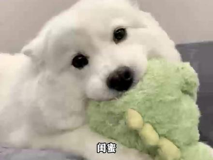 求AI小火人调节教程#AI小火人聊天 #精灵AI对话