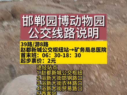 邯郸园博动物园公交车来了,快转给家里的老人和朋友吧,去动物园更方便了。#邯郸动物园 #园博动物园 #邯郸征途户外 #邯郸亲子游 #邯郸一日游 #邯郸自驾游