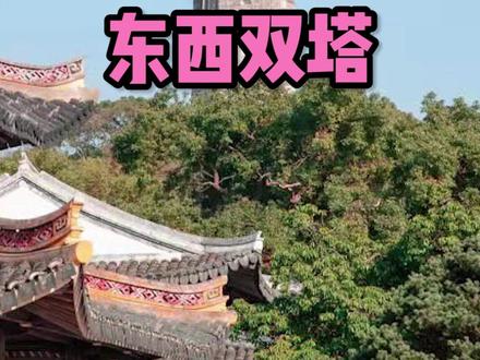 你知道江心双塔还是海贼王的取景地吗?