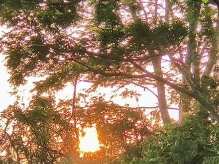 今天我一人一车一湖,花了一个下午,给大家准备了松山湖骑行攻略!#空气清新环境优美 #周末去哪玩 #最美的风景在路上而不在终点 #解封后一定要冲的旅行地 #松山湖骑行攻略