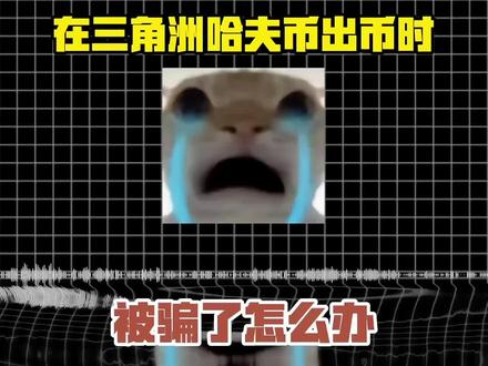在三角洲中哈夫币被骗怎么办?不废话直接上干货
#三角洲行动#哈夫币#哈夫币回收 @长鹿电竞(三角洲行动)