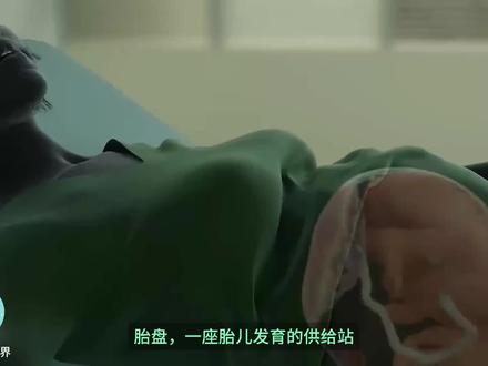 胎盘是如何为胎儿提供营养发育的,孕期需要注意哪些事项!胎儿发育在肚子里的补给站!#怀孕 #科普一下 #生命诞生的过程 #生孩子 #胎盘
