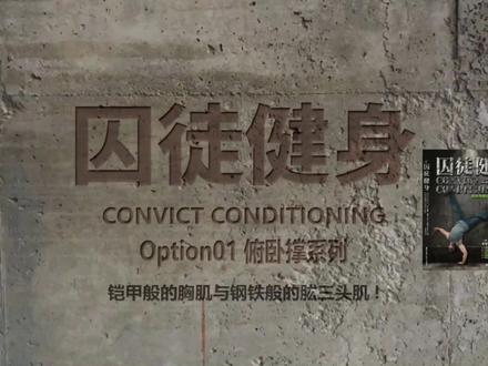 俯卧撑系列 第五式 标准俯卧撑
#俯卧撑 #健身 #健身干货 #徒手健身