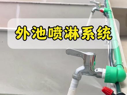 夏日炎炎,快给你的养龟外池降降温!#养龟日常 #外池养龟