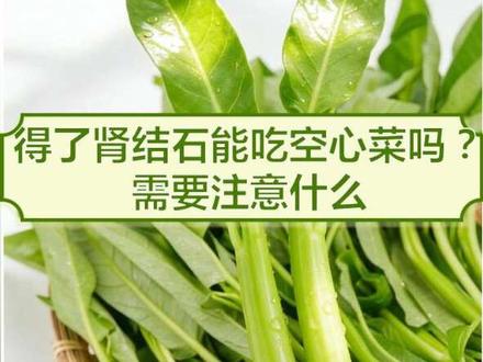 #预防结石 #肾结石 #健康饮食 #秀山 #秀山贴心医院 得了肾结石能吃空心菜吗?想看更多【肾结石饮食宜忌全清单】,点我主页看往期内容