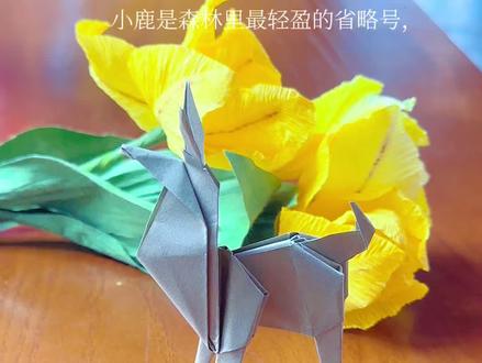 小鹿折纸:把森林的灵气折进掌心
#小鹿折纸#手工折纸 #手工DIY #治愈#创意