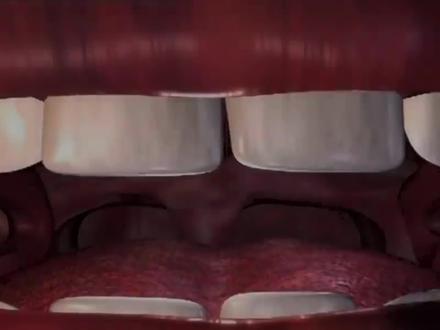 带你体验一次穿越人体的旅程#科普 #人体