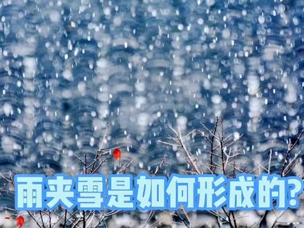 雨夹雪是如何形成的?#创作灵感 #涨知识 #极端天气 #微观世界 #生态环境