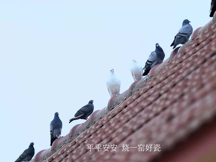 九秋风露越窑开,夺得千峰翠色来。国家非遗,当代国窑。#鲁青瓷 #非遗传承 #工匠手艺