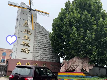 周末带娃好去处,轻轻松松半日游!#亲子游玩好去处 #遛娃好去处 #洛阳遛娃