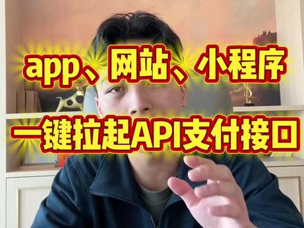 api支付接口 #api #api接口 #支付通道 #支付通道api接口 #异地收款