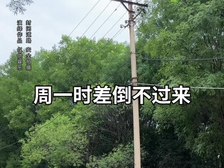 世上还是好人多啊!#搞笑 #职场 #小轩的奇妙人生 #黑绷带眼霜