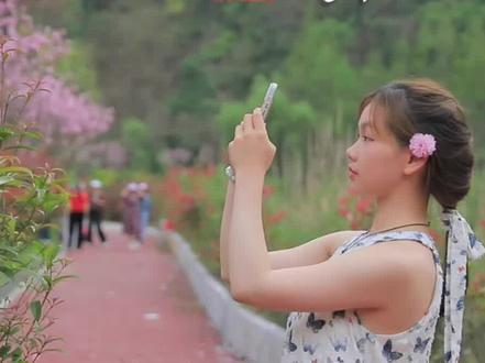 西瑶樱花谷:樱花灿烂美如画 浓浓春意醉游人 #樱花开了 #赏花春游好去处 #西瑶绿谷 @抖音小助手
临武县融媒体中心报道
记者:雷婉婷 邓圣立
后期:王周花