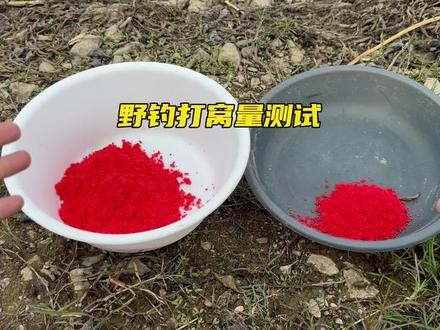 秋冬钓鲫鱼用酒米如何打窝?三分钟了解打窝少打勤补的重要,别让钓鱼变成喂鱼#打窝技巧 #钓鱼技巧 #酒米打窝 #钓鱼打窝技巧 #西部风维它米