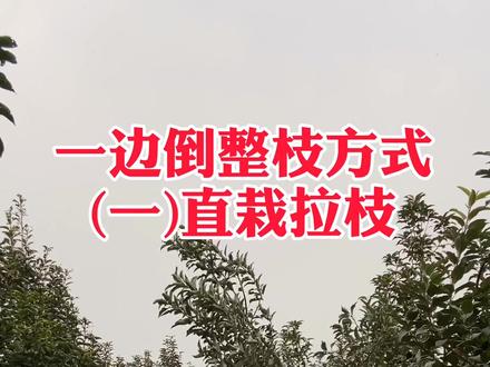 关注蔡英明,轻松做农业#农业