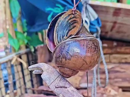 福寿螺:地狱空荡荡荡荡~ #搞笑视频