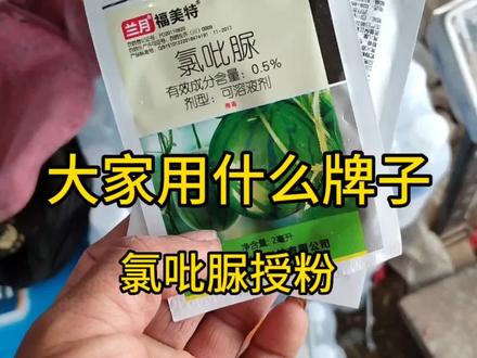 大家药水授粉习惯用那一种氯吡脲授粉呢?#关注我每天分享更多农业知识 #三农