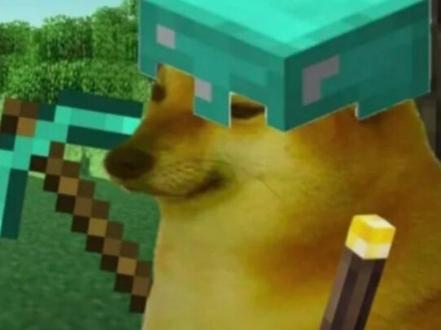 我的刀盾纯享 #cheems #我的刀盾 #meme