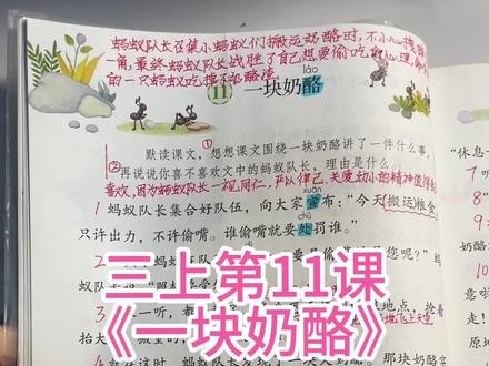 三年级上册第三单元第11课《一块奶酪》核心重点#三年级 #三年级语文上册 #小学语文