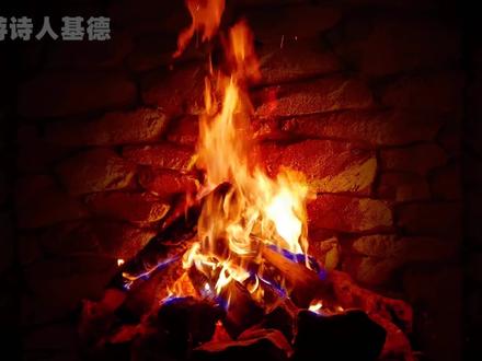 蝗灾、蛾灾和疫情,2020这些灾难和全球变暖有什么联系