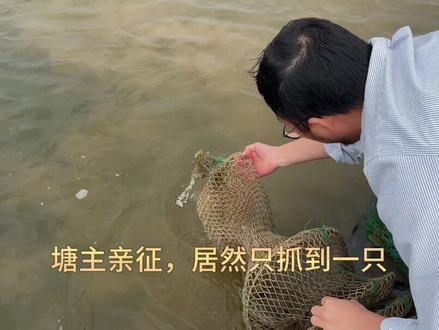 养殖青蟹的捕捞方式。#蟹必剥