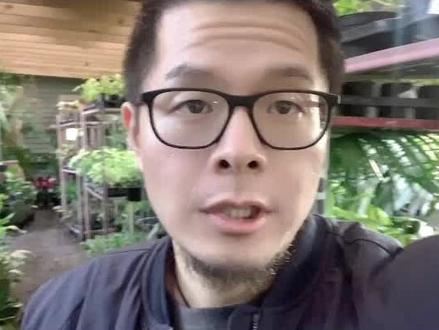 10w能不能留学新西兰?#新西兰 #新西兰留学生活