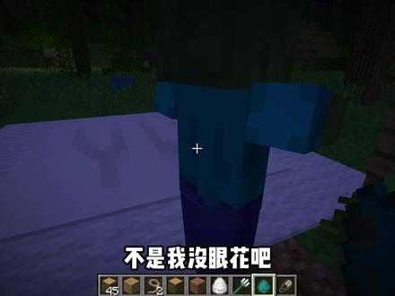 《乐魂的新玩法》 #我的世界