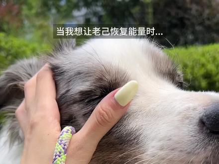 《早餐糊弄学》必修课 #早餐搭子#蒙牛软牛奶#乳糖不耐喝软牛奶