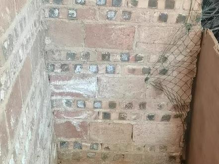 一起看小鸡变大鸡的过程吧#养鸡 #生态散养土鸡 #阿艺日记