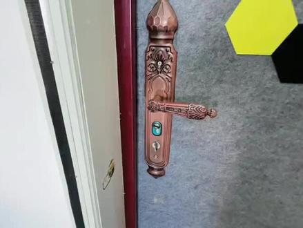 收到超大快递娘俩抢着拆,还以为是新年礼物,没想到尴尬了