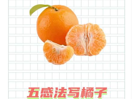 小学语文作文:橘子这样描写太绝了,你学会了吗#小学作文 #小学语文