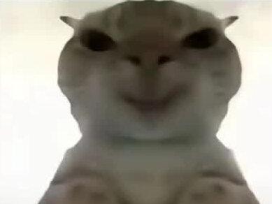 三角洲进黑屋怎么办#三角洲#三角洲如何出黑屋