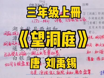 三上语文:古诗三首之《望洞庭》跟随作者脚步感受洞庭湖别样的美 #小学语文 #创作者扶持计划 #三年级语文 #知识分享