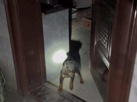 你们回村后半夜饿怎么办?#农村生活 #回村后的我 #回村后的生活vlog