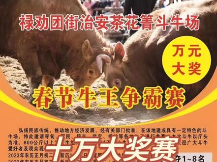 十万大奖,1月23日
十万大奖1月23号,个大奖等两着你来拿,带上你的牛王