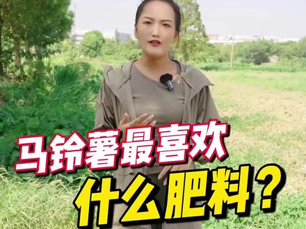 马铃薯最喜欢什么肥料?你知道吗?#马铃薯种植 #马铃薯 #传播农业小知识 #分享农业知识帮农民增产增收 #农业种植
