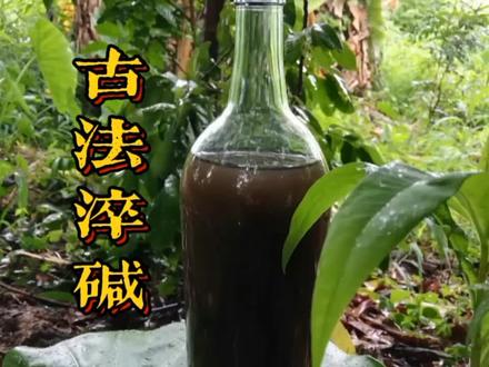 碱水,民间俗称灰水,把黄荆用古法淬碱,绿色,健康,吃得放心 #大自然的馈赠 #纯天然绿色食品 #乡野田间
