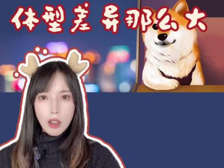 为什么狗狗的体型差异这么大?5万年就决定了#科普 #冷知识